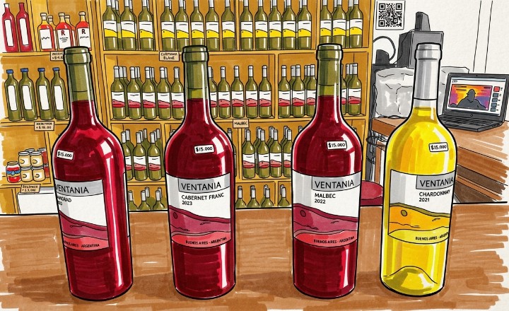 Bodega Saldungaray (Viñedos & Degustación)